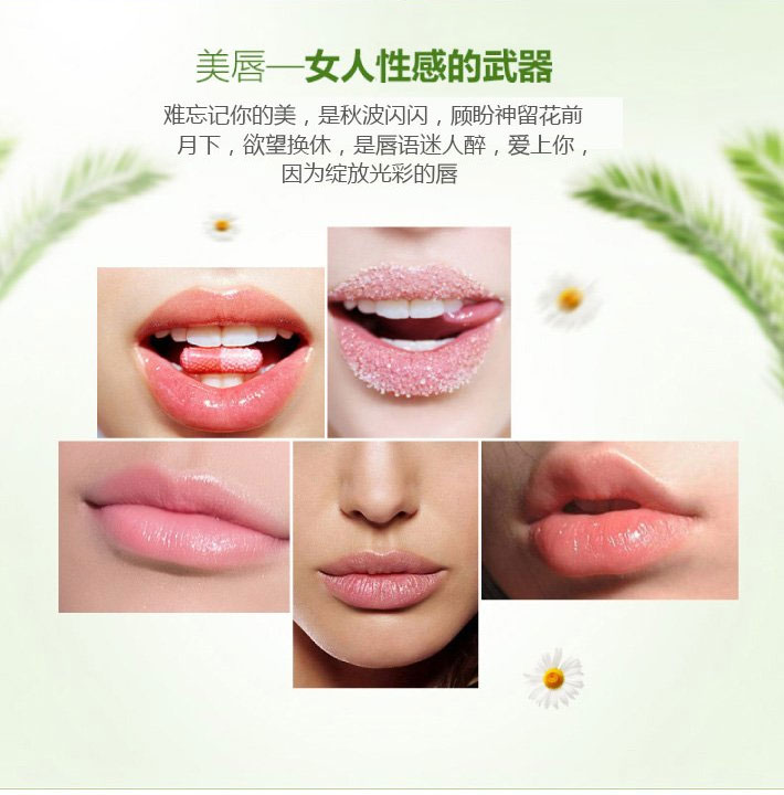 德国 herbacin 贺本清 小甘菊修护唇膏 4.8克